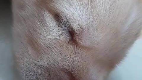 look cute Too go take and watch the fun video