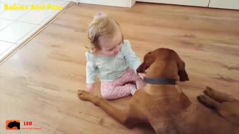 Cue baby with playing dog