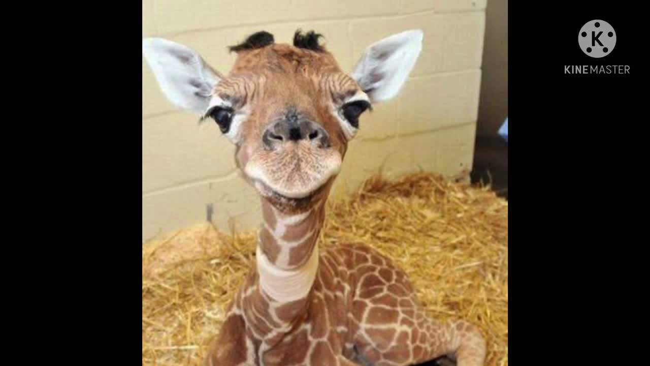 Read the Bible with me. Matthew 17