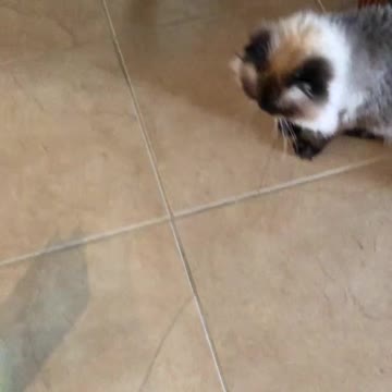 Kiki Ready to “Rumble”