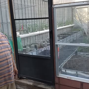 East greenhouse wall done