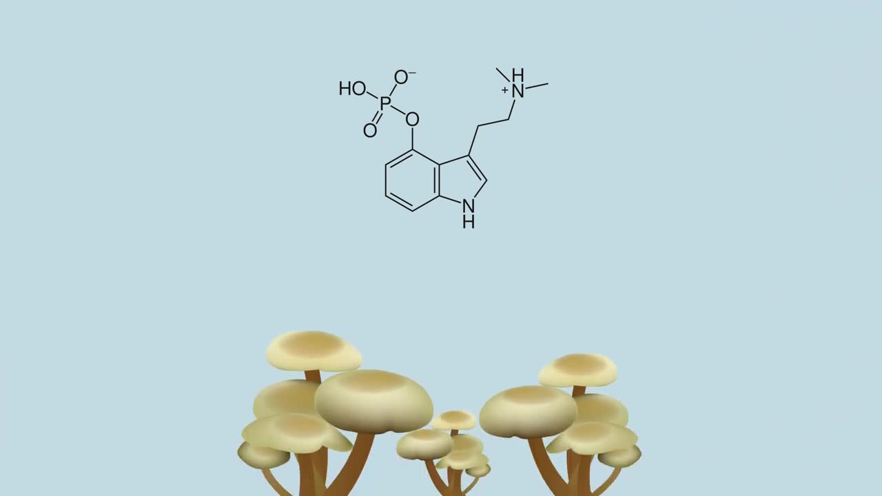 Psilocybin might be the cure for depression