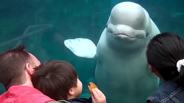 A beutiful relation between kids and the animals๐๐๐