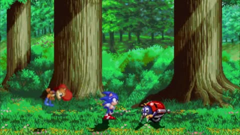 Sonic The Hedgehog Liberations-Forest Mayhem