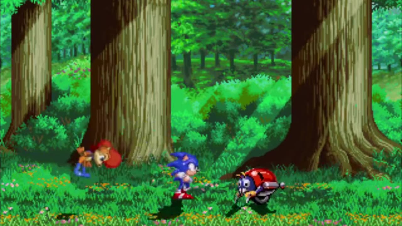 Sonic The Hedgehog Liberations-Forest Mayhem