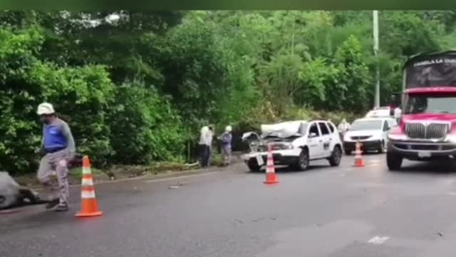 Carro chocó contra un búfalo en Barrancabermeja