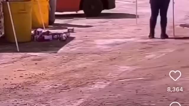 Baby Formula Being Systemically Destroyed