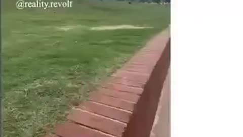The Rabbit holes never stop