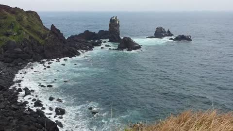 JEJU SEOBJICOJI