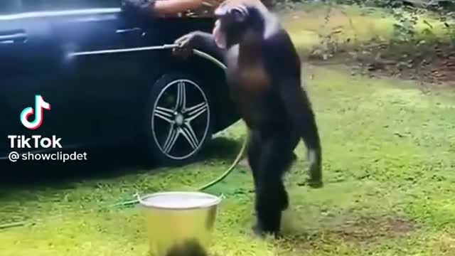 Funny