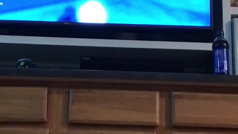 Halo