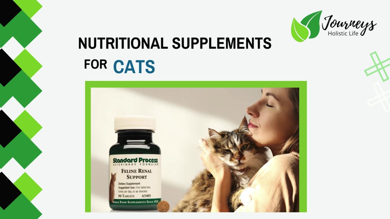 Nutritional Supplements for Cats