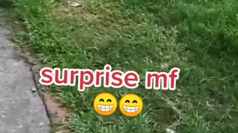 SURPRISE!!!