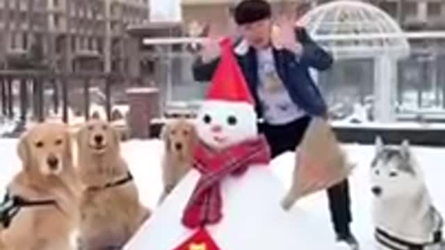 Funny moments - Funny Video - Try Not to Laught