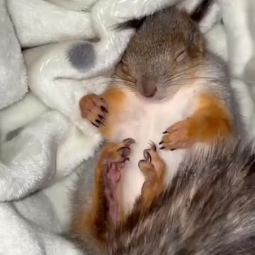 Current mood 😴🥺