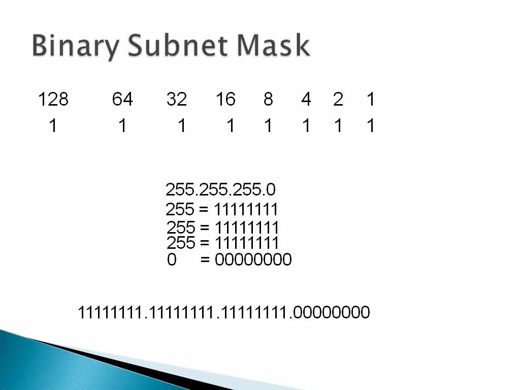 Binary Numbers