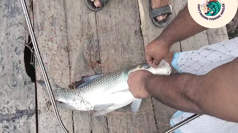 Fishing video