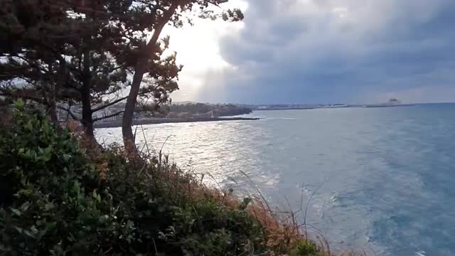 Winter jeju island sea