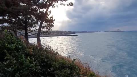 Winter jeju island sea