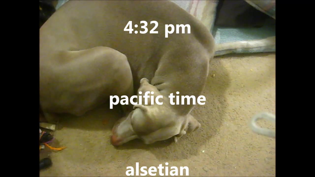 I've Got a Feeling ~ the Beatles ~ Lopsided Lesson.