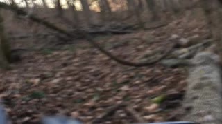 RZR Hill Climb in Brooksburg