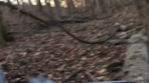 RZR Hill Climb in Brooksburg
