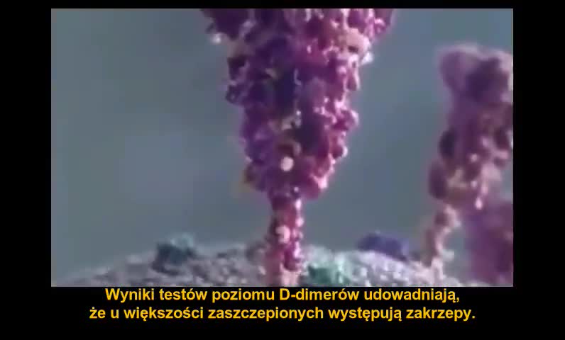 Dr Charles Hoffe wprost: Katastrofalne skutki stosowania szczepionek mRNA