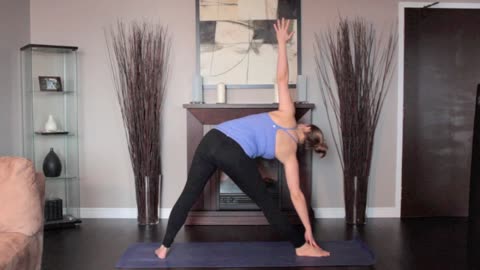 yoga pose - triangle right