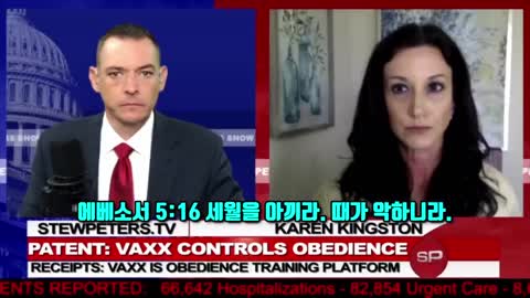 [펌] [Creation] [STEW PETERS SHOW] 스튜피터_KAREN KINGSTON_전백신연구원_미래의 감시체계 화이자 전 직원 캐런 킹스턴이 말한 복종 통제 시스템