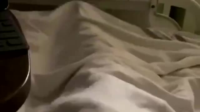 vaccine shock 1 week after