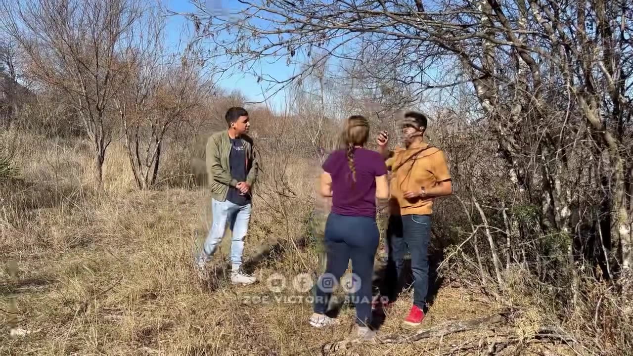 Jungle Romance