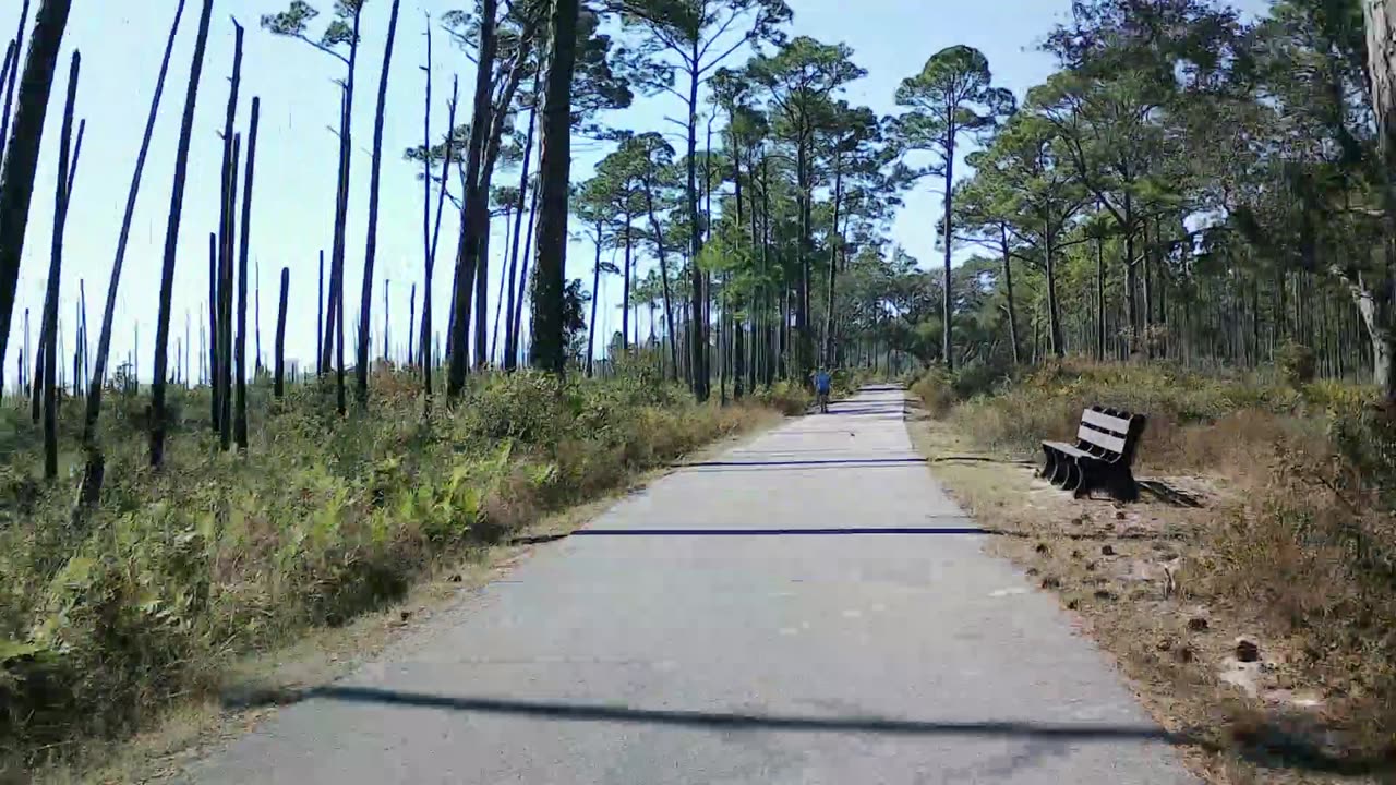 Gulf Shores bike ride 1