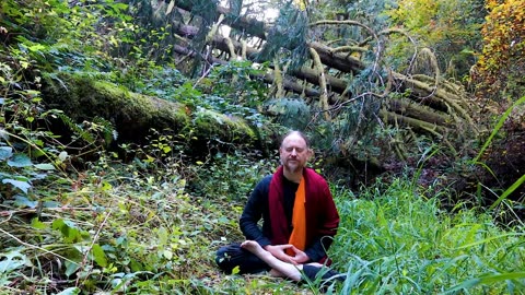 Samadhi Meditation in the Secret Garden of Eden of Mother Earth (clip from patreon #meditation )