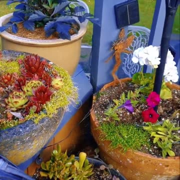 Mataji's (Momma Moon's) Inner Garden reflected Outwards (Yamsox Live Special Guest June 15th, 2024)