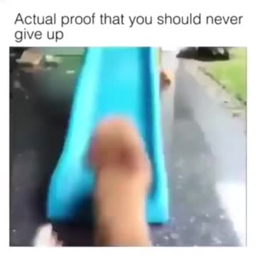 The puppy that hits the slide
