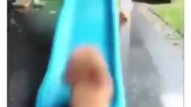 The puppy that hits the slide