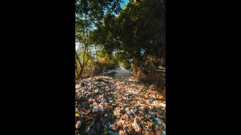 Crisis in Gaza: The Hidden Epidemic of Waterborne Diseases Amidst Conflict