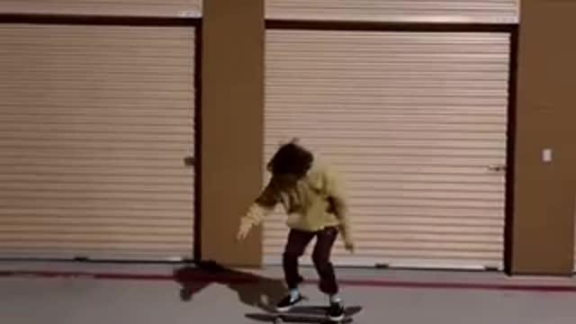 DOG SKATING WITH OWNER