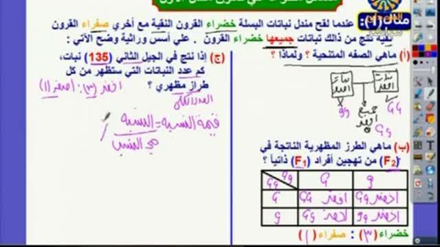 مسائل قانون مندل الاول 2