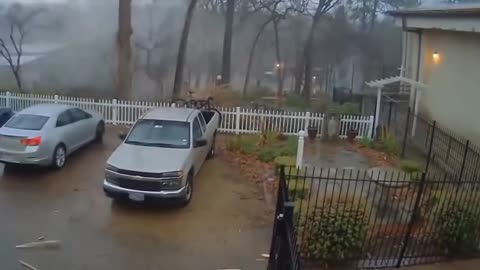 camera records the moment a lightning strikes a tree