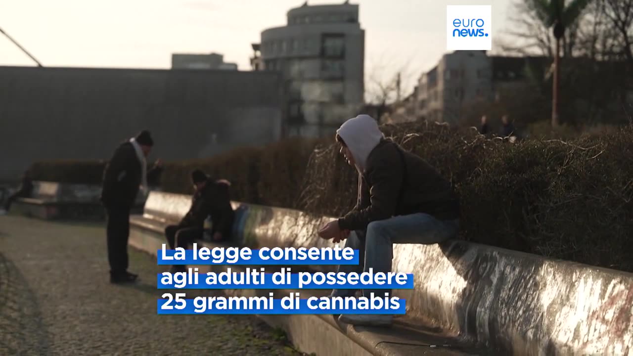 CURIOSITà EUROPEE La Germania ha legalizzato la cannabis e l'hashish dal 1 aprile 2024 è legale detenere fino a 25g e coltivare fino a 3 piante a persona non a scopo commerciale e senza limiti di THC.La Germania ha ora la legge più liberale in UE