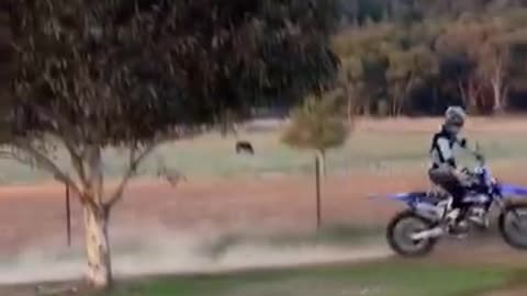 Bikers Amazing Stunt Action