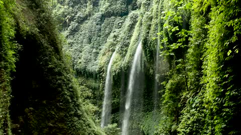 Waterfall in forest peaceful