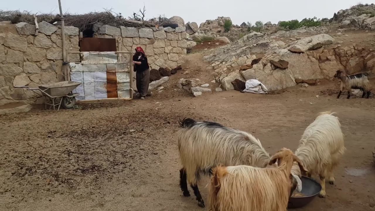 Village life Afghanistan_ Daily Routine Village life Afghanistan_ Rural life in Jaghori_