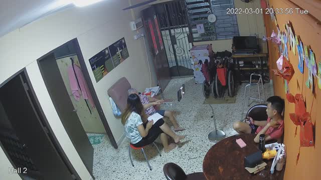 hallback day n night 20220301