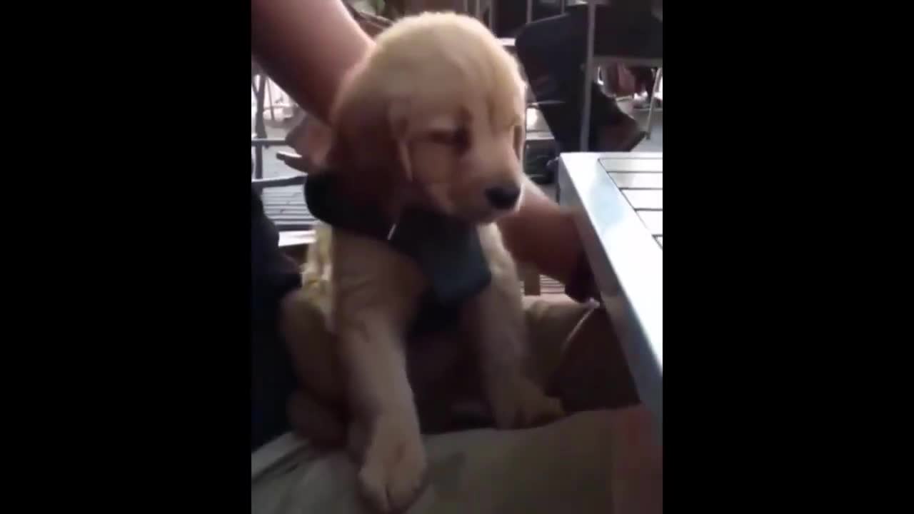 sleepy baby