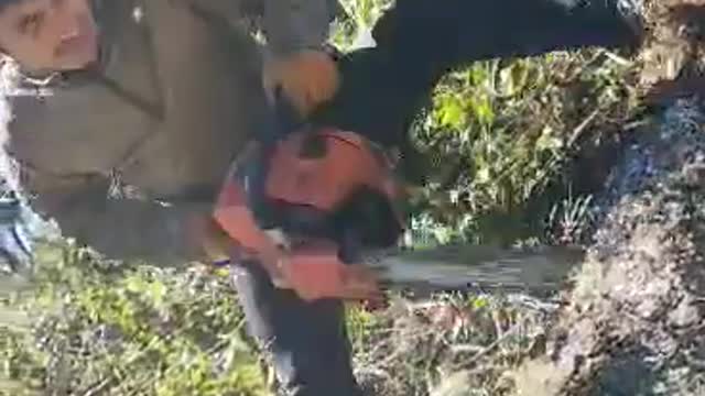 Using chainsaw