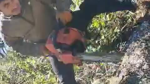 Using chainsaw