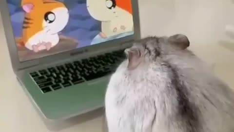 Cute and adorable animal behavior makes anyone happy to see it
