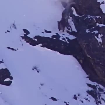 Think you can Survive ?